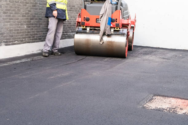 Best Decorative Concrete Driveways  in Rugby, ND